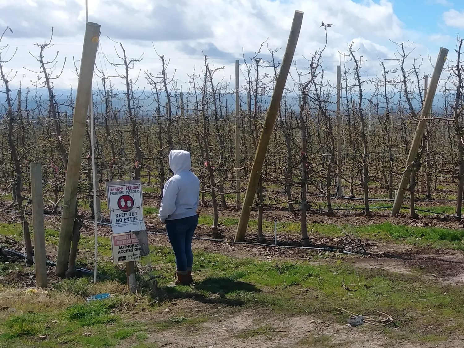 Health & Safety in Yakima Valley Fair Work Center